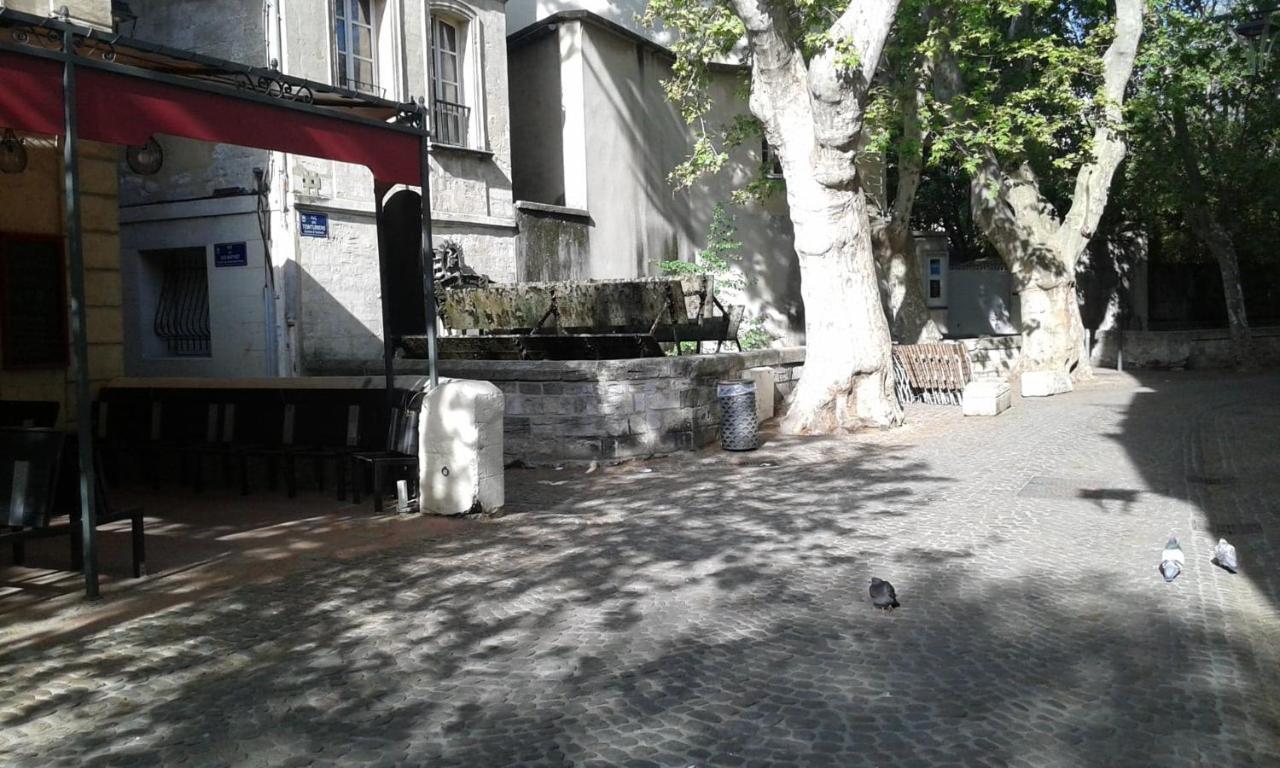 Chambre Sur Jardin Secret - Avignon Centre - Climatisee ภายนอก รูปภาพ
